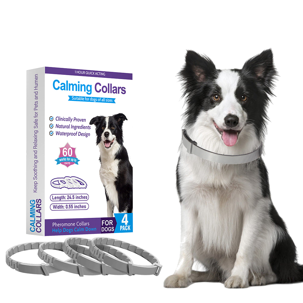 CalmBark Calming Collar box and dog wearing the collar